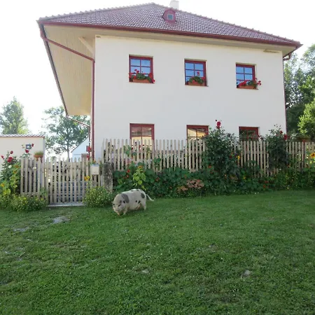 Horní Planá Ubytovani Praschlhaus מראה חיצוני תמונה