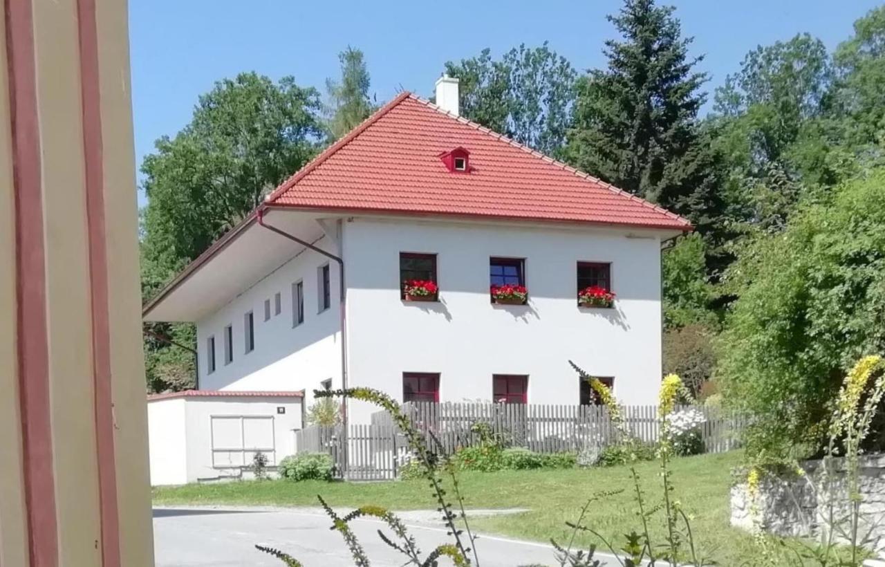 Apartment Praschlhaus *