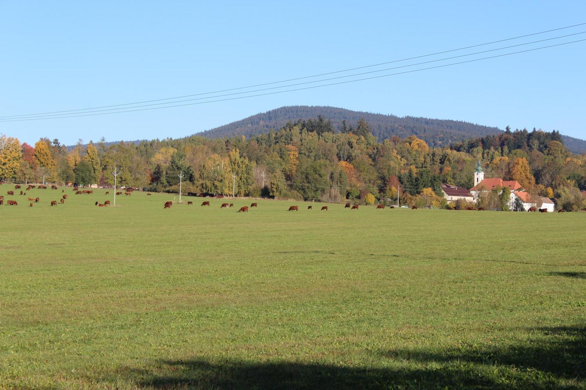 Praschlhaus * Horni Plana