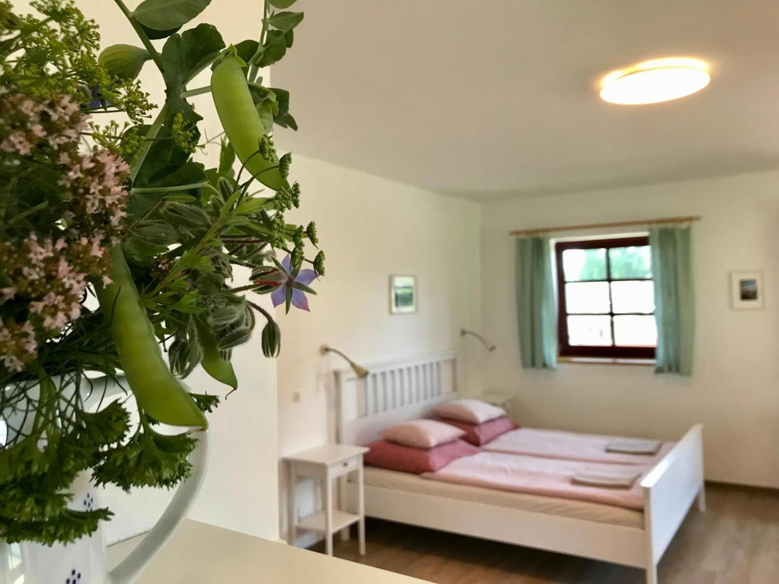 Praschlhaus Apartment *